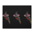 Bird of Paradise Canvas Print — Tropical Red & Black Wall Art