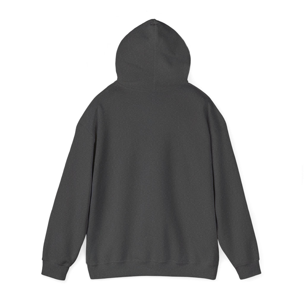 Back view of a PURETE charcoal grey cotton-blend hoodie with a double-lined hood and long sleeves.