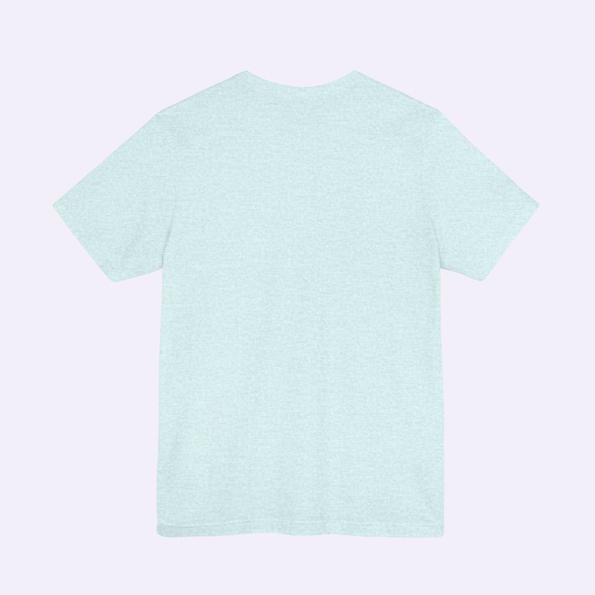 PURETE unisex jersey short sleeve tee in light blue heathered cotton, back view showing a classic retail fit.
